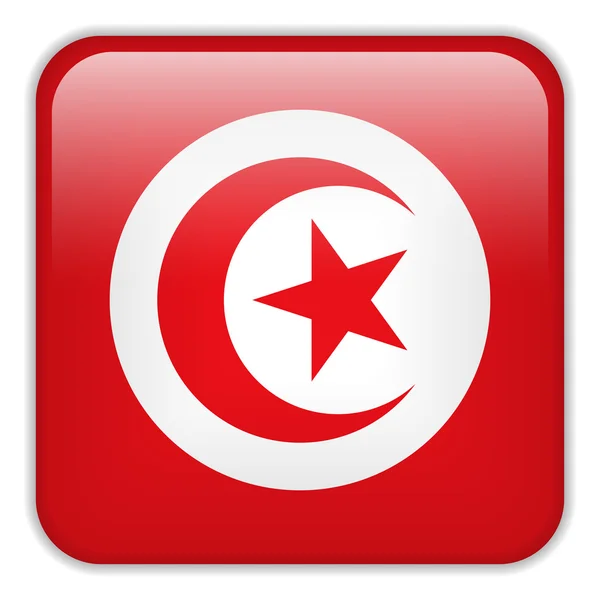 Tunisia Flag Smartphone Square Button — Stock Vector