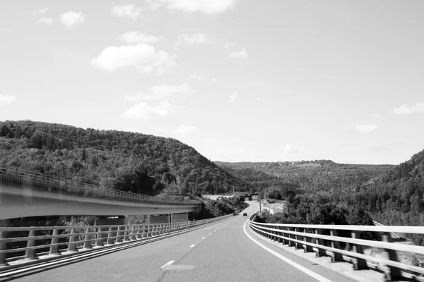 Empty street — Stock Photo, Image