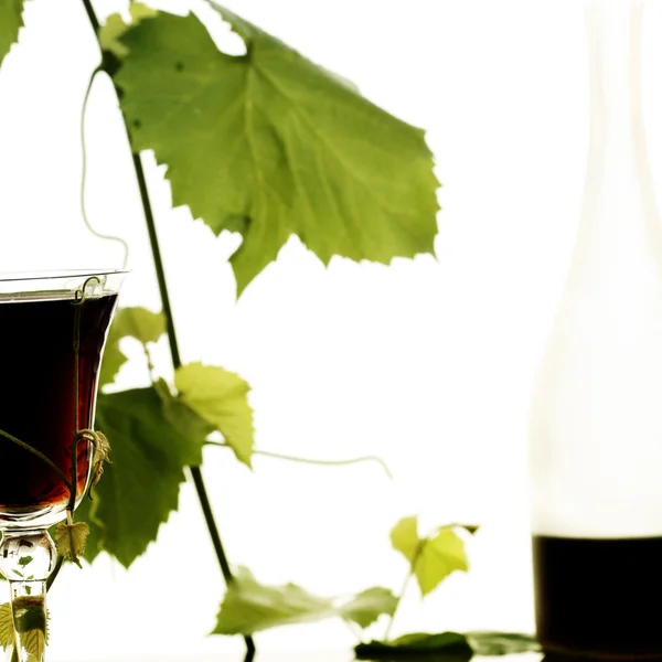 Красное вино — стоковое фото