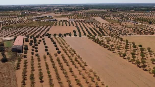 Veduta Aerea Dei Terreni Agricoli Nella Provincia Cuenca Spagna — Video Stock