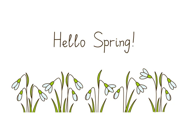 Hello tavaszi hóvirág — Stock Vector