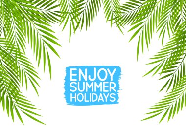 Palmiye ağaç dalları üzerinde beyaz