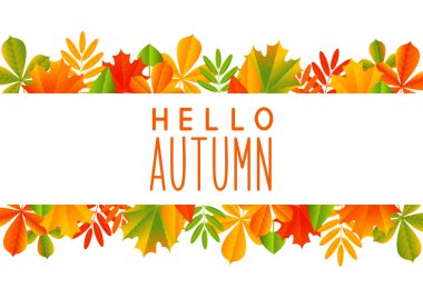 sınır sonbahar yaprakları 