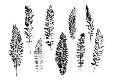 desen boya ile yaprakları yazdırır