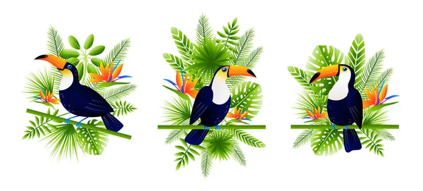 Ensemble Oiseaux Toucans Aux Feuilles Fleurs Tropicales Pour Votre Design — Image vectorielle