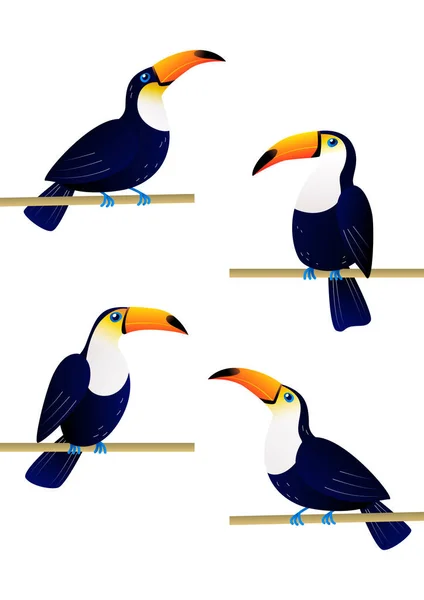 Ensemble Oiseaux Toucans Isolés Sur Blanc Pour Votre Conception Estivale — Image vectorielle