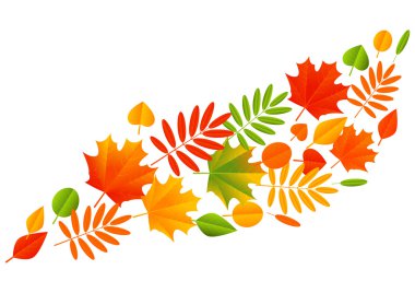 sonbahar renk yaprakları