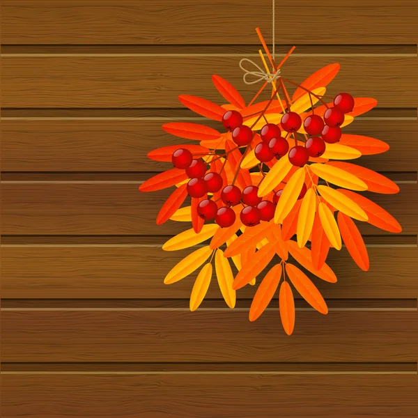 Autumn leaves with rowan — Stock Vector