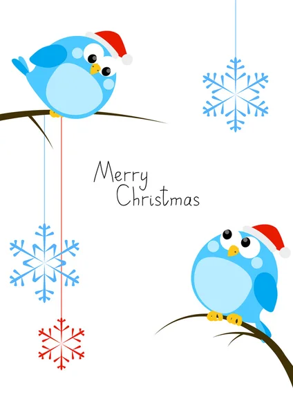 Cute little birds with Christmas snowflakes — Stock Vector