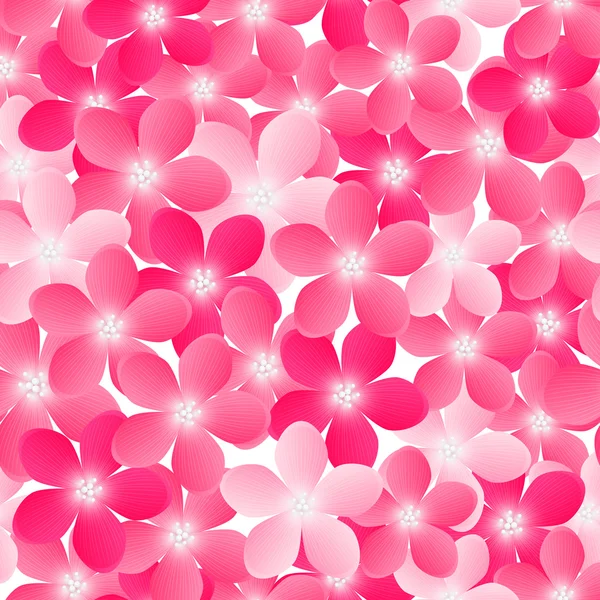 Modèle avec des fleurs roses — Image vectorielle