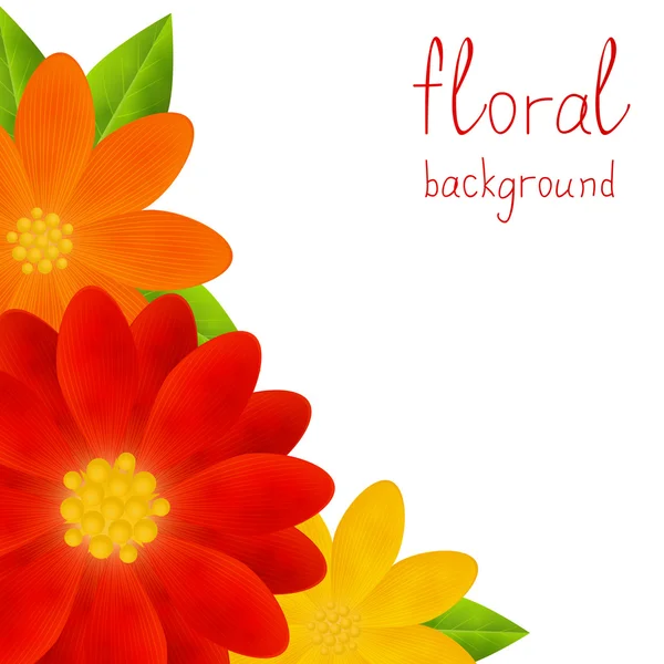 Brilhantes flores de verão —  Vetores de Stock