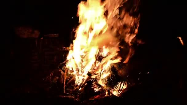 Heldere Bonfire in nacht — Stockvideo