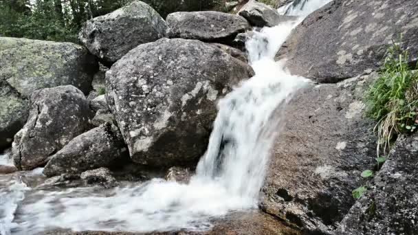 Cascada forestal en el parque natural — Vídeos de Stock