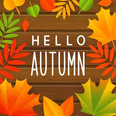 sonbahar renk yaprakları