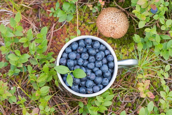 Blaubeeren im Metallbecher — Stockfoto