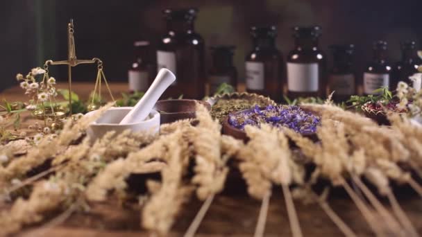 Dried medical herbs — Stock Video
