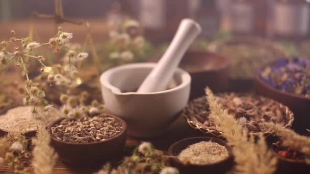 Dried medical herbs — Stock Video