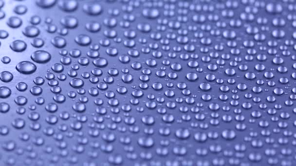 Background with water drops — Stock Video