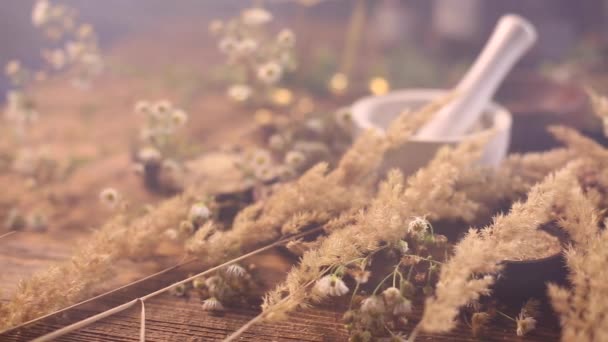 Сухие медицинские травы — стоковое видео