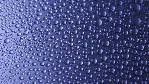 Background of water drops — Stock Video