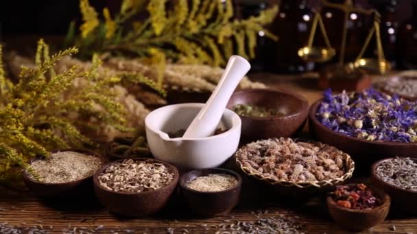 Assorted natural medical herbs — Stock Video