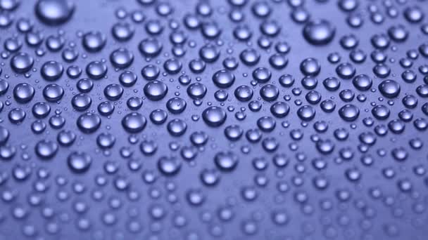 Group of water drops — Stock Video