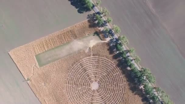 Bellissimo campo agricolo di giorno — Video Stock