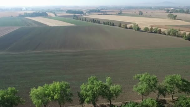 Hermoso campo agrícola durante el día — Vídeos de Stock