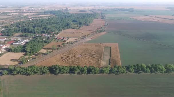 Belo campo agrícola durante o dia — Vídeo de Stock