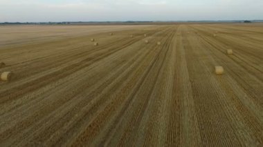 Gündüz, güzel tarım alanı