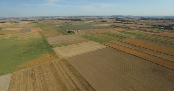 Belo campo agrícola durante o dia — Vídeo de Stock