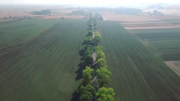 Hermoso campo agrícola durante el día — Vídeo de stock