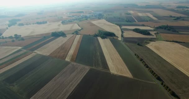 Hermoso campo agrícola durante el día — Vídeos de Stock