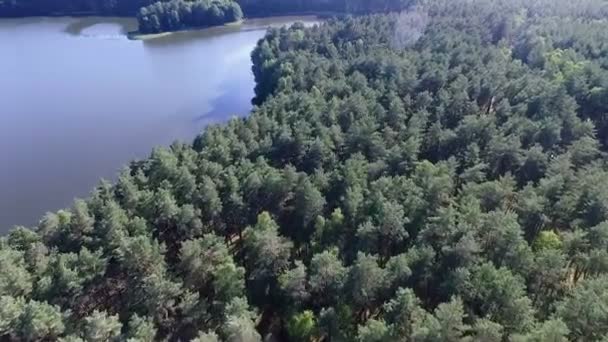 Hermoso río de montaña y bosque verde — Vídeos de Stock