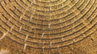 Gündüz, güzel tarım alanı