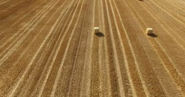 Gündüz, güzel tarım alanı