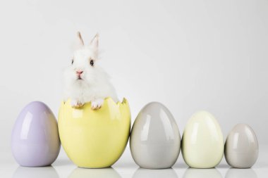 Yumurta, Bahar Tavşanı, Mutlu Paskalya arkaplanları