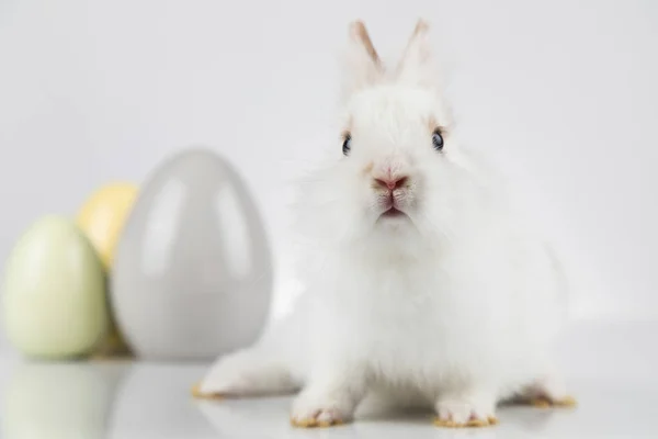 Ägg Lilla Kanin Glad Påsk Bakgrund — Stockfoto