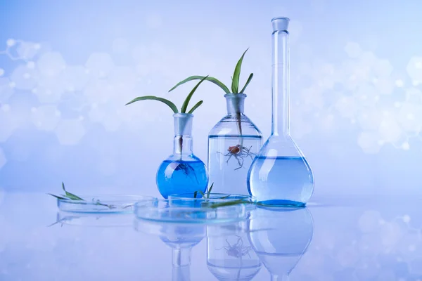 Science Experiment Plant Laboratory — Stock Photo, Image