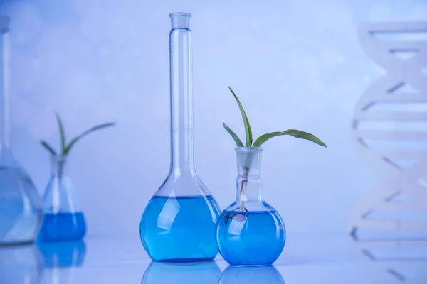 Vetreria Chimica Laboratorio Pianta Geneticamente Modificata — Foto Stock