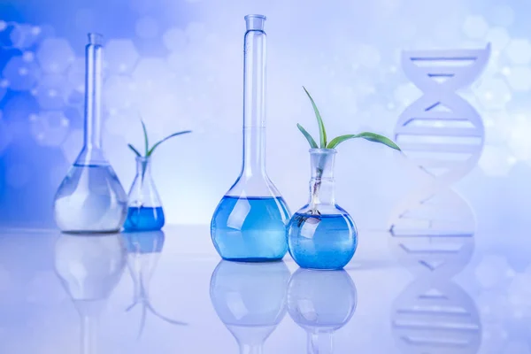 Dna Pflanzenlabor Experimentell Chemische Gläser — Stockfoto