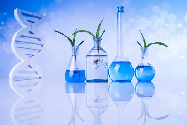 Dna Plant Laboratory Chemical Glassware — 图库照片