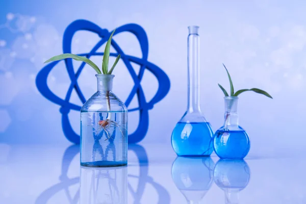Atom Χημικά Εργαστηριακά Γυάλινα Σκεύη Γενετικώς Τροποποιημένο Φυτό — Φωτογραφία Αρχείου