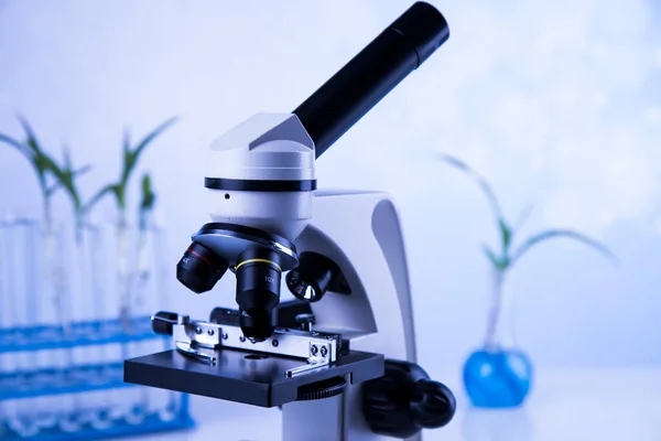 Plant Test Tube Scientist — Stock Photo, Image