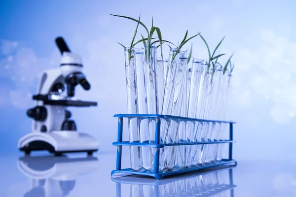 Laboratory Beakers Microscope Blue Background — Stock Photo, Image