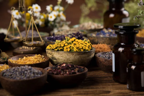 Naturläkemedel Helande Örter Bakgrund — Stockfoto