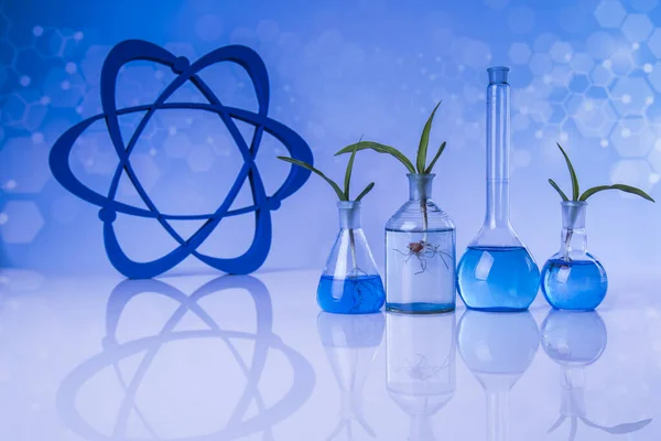 Átomo Produtos Químicos Vidro Laboratório Planta Geneticamente Modificada — Fotografia de Stock