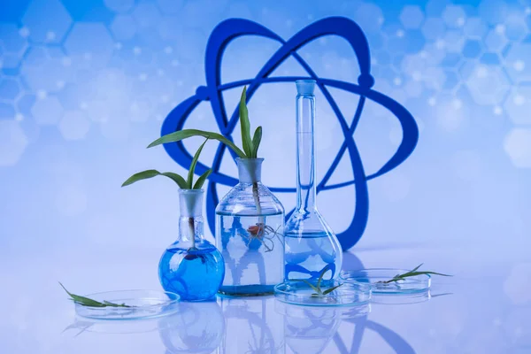 Atom Chemische Laborgläser Gentechnisch Veränderte Pflanzen — Stockfoto