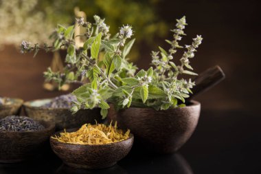 Alternatif sağlık, taze bitkisel ve harç siyah ayna arka planında