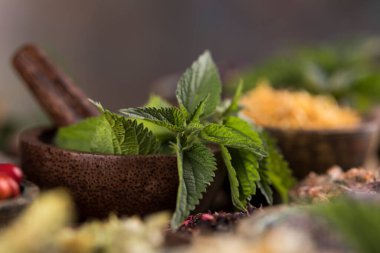 Doğal tedavi, şifalı bitkiler.